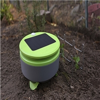 click image to enlarge