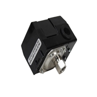 click image to enlarge