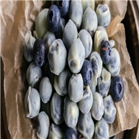 click image to enlarge