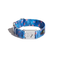 click image to enlarge