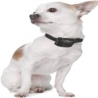 click image to enlarge