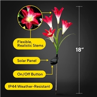 click image to enlarge