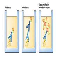 click image to enlarge