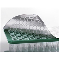 click image to enlarge