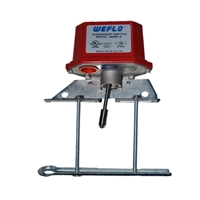 click image to enlarge