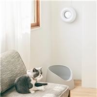 click image to enlarge