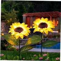 click image to enlarge