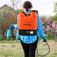 click image to enlarge