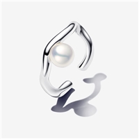 click image to enlarge