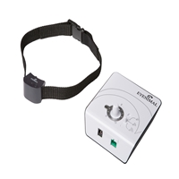 click image to enlarge