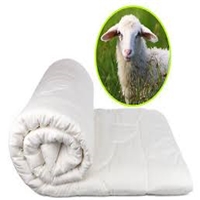 click image to enlarge