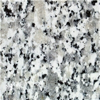 click image to enlarge