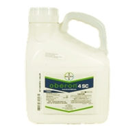 click image to enlarge