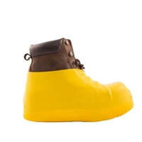 click image to enlarge