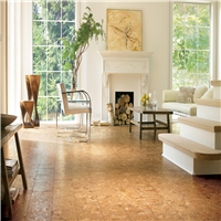 click image to enlarge