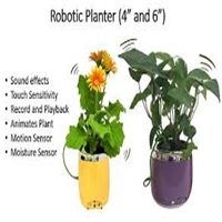 click image to enlarge