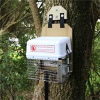 click image to enlarge