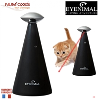 click image to enlarge