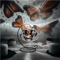 click image to enlarge