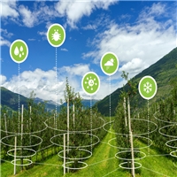 click image to enlarge