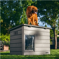 click image to enlarge