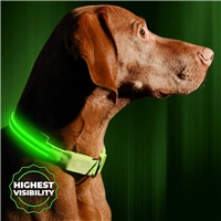 click image to enlarge