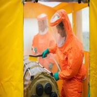 click image to enlarge