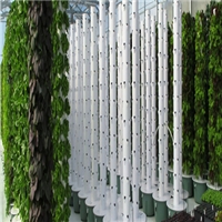 click image to enlarge