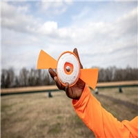 click image to enlarge