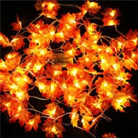 click image to enlarge