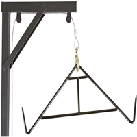 click image to enlarge