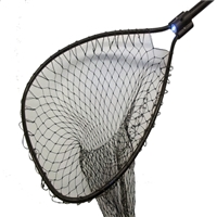 click image to enlarge