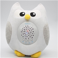 click image to enlarge