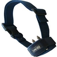 click image to enlarge