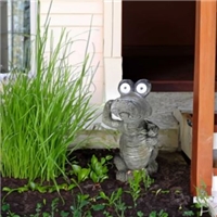 click image to enlarge