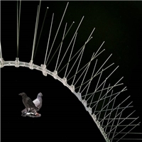 click image to enlarge