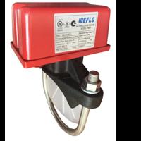 click image to enlarge