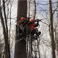 click image to enlarge