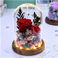 click image to enlarge