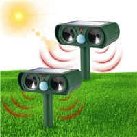 click image to enlarge