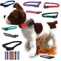 click image to enlarge