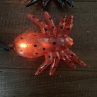 click image to enlarge