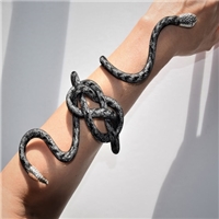 click image to enlarge