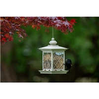 click image to enlarge