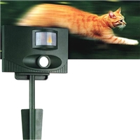 click image to enlarge