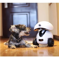 click image to enlarge