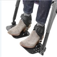 click image to enlarge