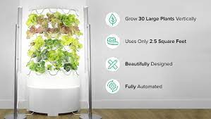 click image to enlarge