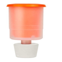 click image to enlarge