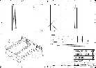 click image to enlarge